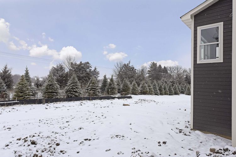 Terra Vista Backyard CreekHillCustom